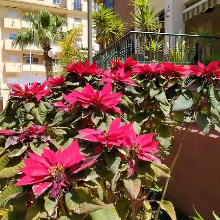 Medina, Ganz Nah Zum Strand Apartment Nerja